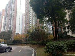 福星城精装大三房只卖65万