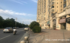 (出售) 咸安碧桂园临街商铺，稳定收益，