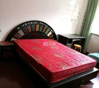 鄂高对面房屋出租