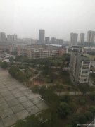 博仁精装佳房出租