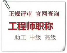 专业代评
