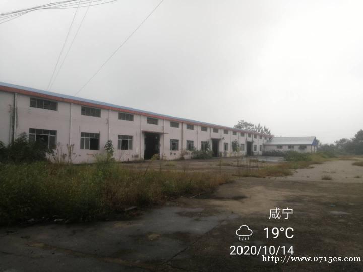 40亩的土地,厂房出租 40亩的土地,厂房出租