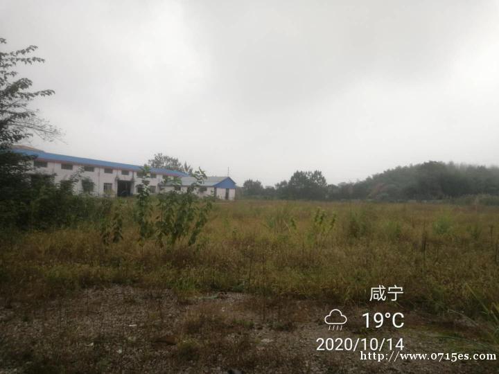 40亩的土地,厂房出租 40亩的土地,厂房出租