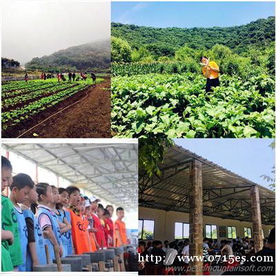 蔡甸小学生出游这个园区彩虹滑道、棉花糖制作互动性强快乐不止一 蔡甸小学生出游这个园区彩虹滑道、棉花糖制作互动性强快乐不止一