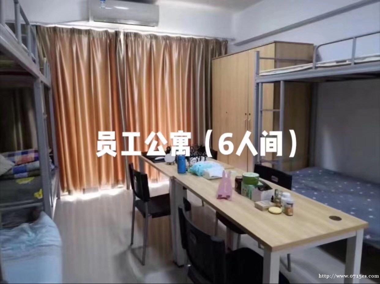 高薪稳定电子厂-华星光电招聘普工5000-6500 高薪稳定电子厂-华星光电招聘普工5000-6500