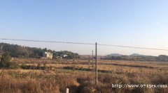 咸宁咸安区 328亩 耕地 转包
