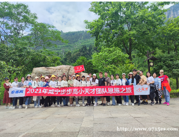培训督导/培训师 培训督导/培训师