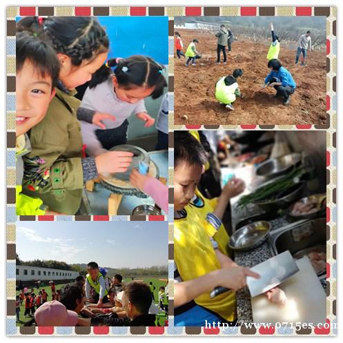 到乐农基地筹备武汉学生春游这三个项目看过没有 到乐农基地筹备武汉学生春游这三个项目看过没有